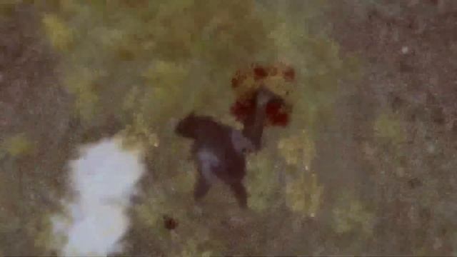 Что Будет Если Пройти СКАЙРИМ на 100%? - Платина Всей Моей Жизни! смотреть онлайн