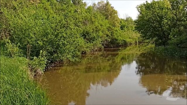 В гостях у кундрюченского соловья