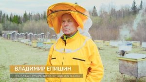 Всемирный день пчёл рекомендации по сохранению пчёл от опытного пчеловода