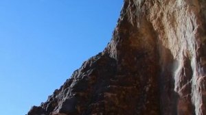 Насекомые. Minuscule  2-8