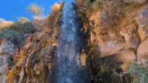 Разреши мне тебя забыть