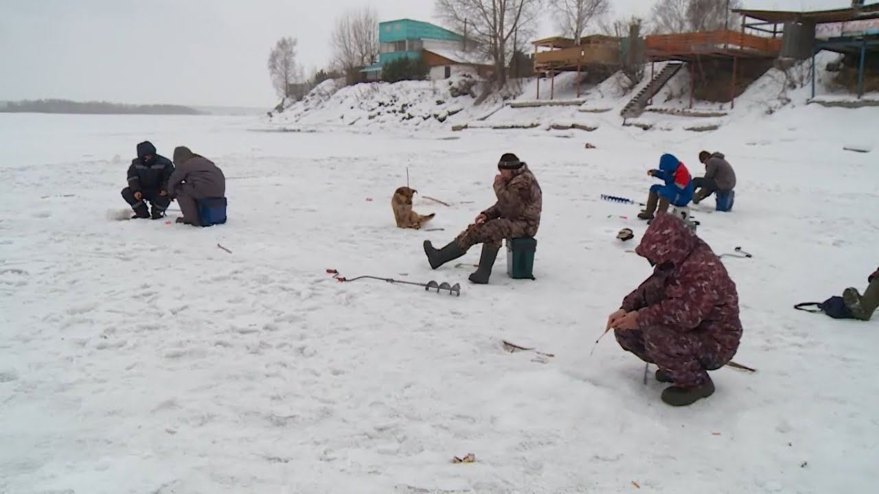 Будни бийск новости