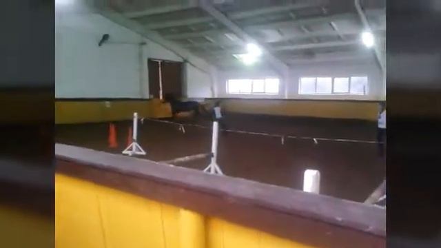 Так будет начинаться каждое видео ) смотреть онлайн