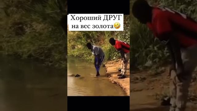 Хороший друг на вес золота