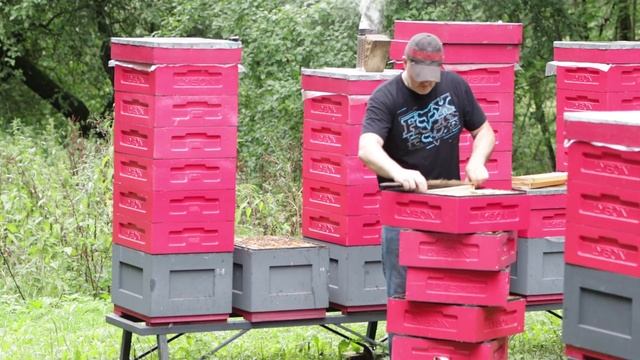 Необыкновенные пчелы Buckfast смотреть онлайн