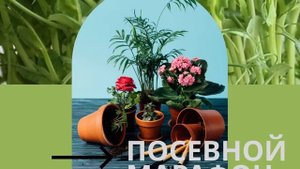 Посевной марафон.MP4