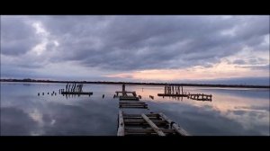 Бакланы собрались на ночлег...