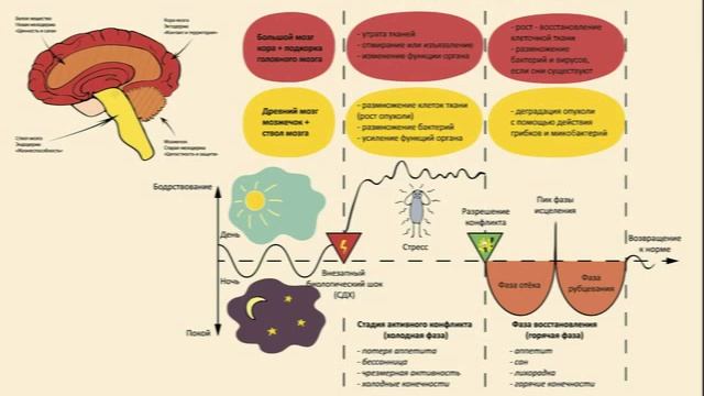 Исцеление воспоминанием, 9 вопросов которые стоит задать. смотреть онлайн