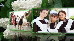 Белая сирень - выпускной