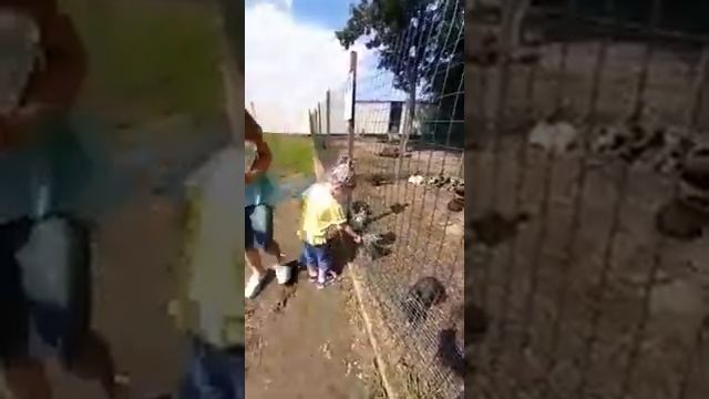 Из жизни подопечных фонда "Русская Берёза". Семья Гайдуковых. смотреть онлайн