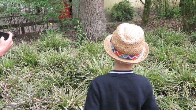 ГЕРМАНИЯ. НАШИ ПРИКЛЮЧЕНИЯ С МАМОЙ В ЗООПАРКЕ. смотреть онлайн