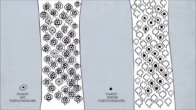 Emrah Party Meets Davines MASK WITH VIBRACHROM смотреть онлайн