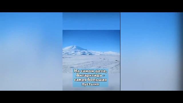 Интересные факты которые могут спасти тебе жизнь 21 часть // Elvira //