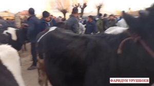 Молбозори Мужун Точикистон имруз молбозор дахшат шуд срочно .....