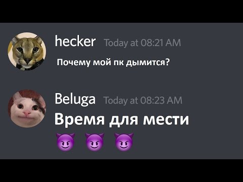 Белуга хацкает хацкера (РУССКАЯ ОЗВУЧКА И ПЕРЕВОД)