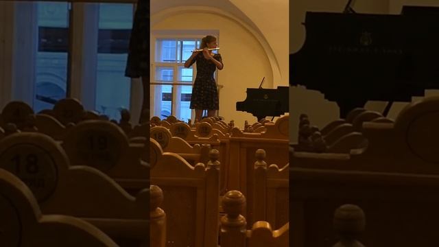 Zgraja "Virtuoso Flamenko Study 3" Marianna Murzina смотреть онлайн