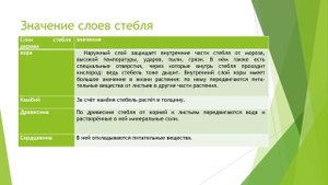 Строение стебля биология 7 кл.mp4