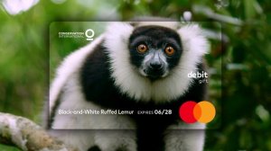 Introducing the Mastercard Wildlife Impact Gift Card
