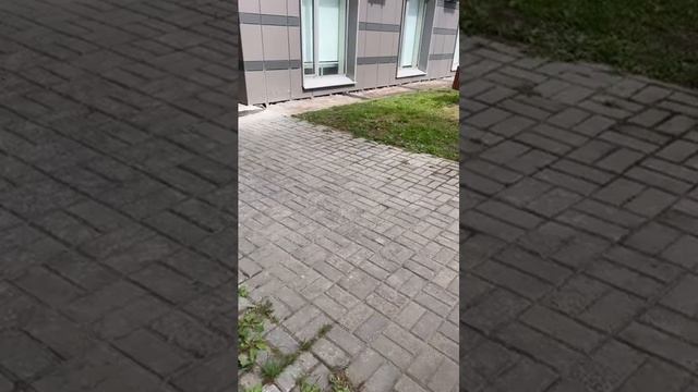 Бетонная отмостка вокруг дома смотреть онлайн