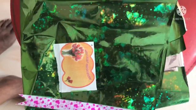 அந்தூரியம் வளர்ப்பு முறை மற்றும் பயன் | Basic Anthurium Care | Anthurium Plant Care & Growing Guide смотреть онлайн