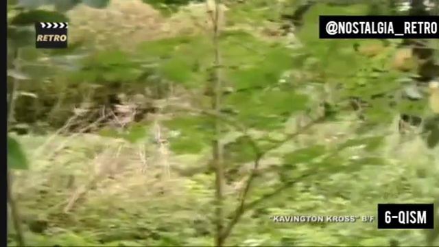 🎬Nostalgia_retrо🎥 Kovington Kross 6-qism📹 Sifati: HD 480p📆 Yil: 1992🎞 Janr: jangari смотреть онлайн