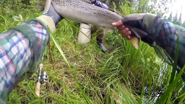 Кольский полуостров. Малые реки. The Kola Peninsula. Kolsky Poluostrov. Small Rivers.