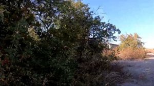 МАЛЬЧИК НАШЕЛ СКЛАД ОРУЖИЯ НА ЗАБРОШЕННОЙ  ВОЕННОЕ БАЗЕ ПОД ХАРЬКОВОМ