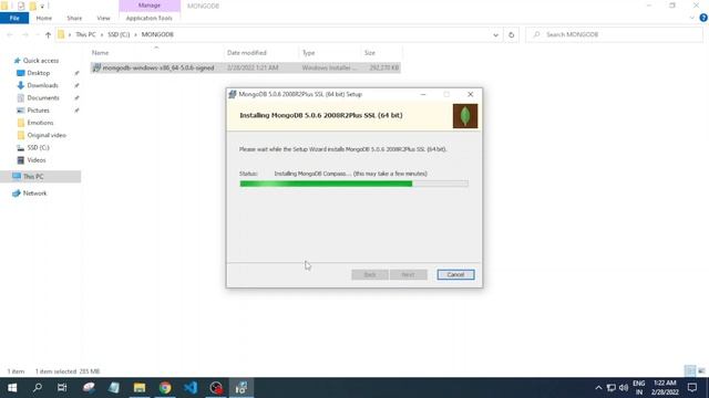 How to Install MongoDB on Windows