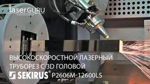 Высокоскоростной лазерный труборез c 3D головой SEKIRUS P2606M 12600LS для труб диаметром до 120 мм