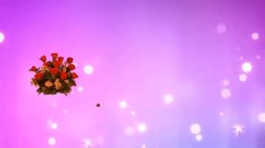 футаж "Букет роз!