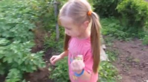 Внучки приехали к бабушке на огород Палкино