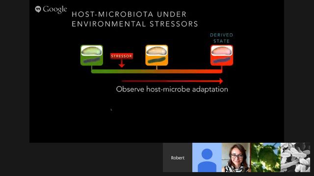 Robert Brucker: Speciation by symbiosis: the microbiome as a unit of selection смотреть онлайн