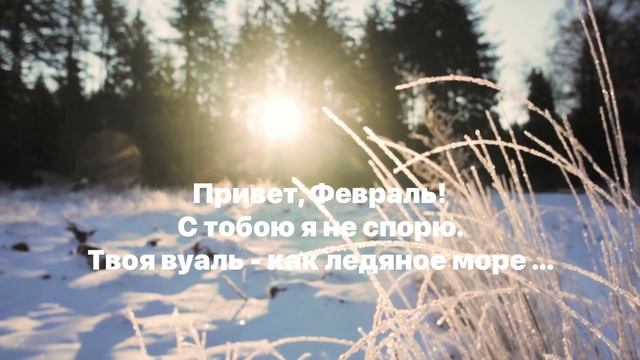 Февралю. Стихи. Светлана Мишина #поэзия #путь #стихи #жизнь #релаксация #зимнеенастроение #природа
