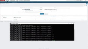 Пример использования Zabbix Trapper sender system.run