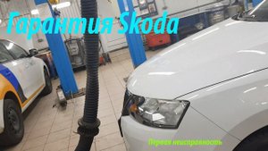 Skoda Rapid 2019 первая гарантийная неисправность