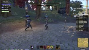 Elder Scrolls Online - Epic Battle - Nord vs Breton - Low Level