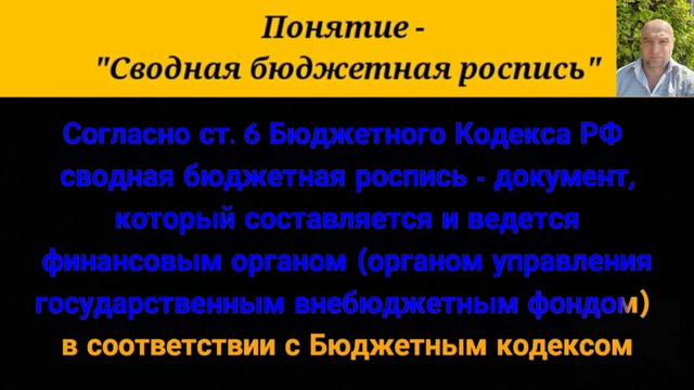 Что понимается под сводной бюджетной росписью в Российской Федерации?