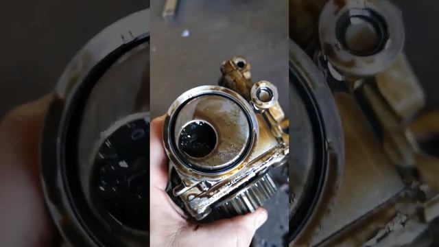 A wet belt killed the engine 1.0 ecoboost Ford