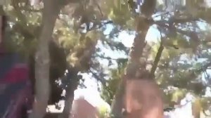 Орушая толпа негров самый разгар