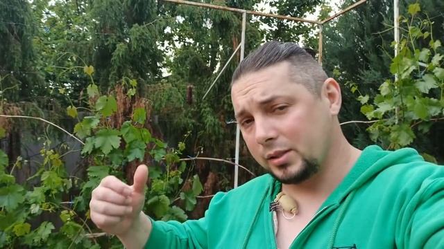 КОНЕЦ МАЯ ЧТО ДЕЛАТЬ ПОБЕГИ ПЕРЕРОСЛИ ПОСЛЕДНЮЮ ПРОВОЛОКУ смотреть онлайн