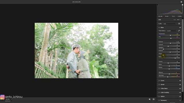 FREE PRESET PHOTOSHOP VOL.14 Adobe Camera Raw XMP & DNG смотреть онлайн