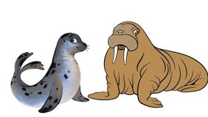 Автобус номер двадцать шесть. С.Маршак