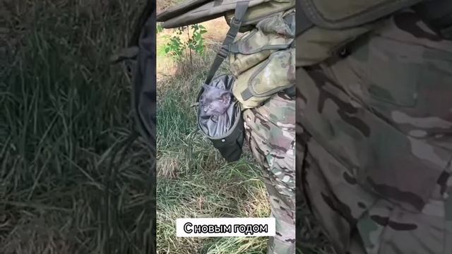 с новым годом.mp4 смотреть онлайн