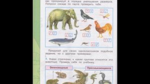 2 класс Окружающий мир Плешаков часть 1 рабочая тетрадь Дарьи Джериховой