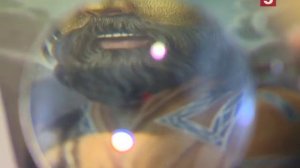 Жизнь адмирала Ивана Федоровича Крузенштерна. Экскурсии по Петербургу. Утро на 5