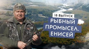 Молочная ферма vs Рыбное хозяйство: что сложнее? Миллиарды на форели. Экология, браконьеры, Енисей.