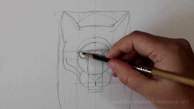 Как нарисовать голову ПУМЫ карандашом. Дикая кошка. Рисование с нуля.