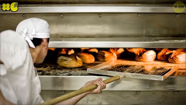 ИНТЕРЕСНЫЕ ФАКТЫ О ХЛЕБЕ О КОТОРЫХ ВЫ ВОЗМОЖНО НЕ ЗНАЛИ смотреть онлайн