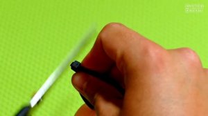 КАК СДЕЛАТЬ КОРМУШКУ ДЛЯ КОТА? 8 ПРОСТЫХ ЛАЙФХАКОВ С ПЛАСТИКОВЫМИ БУТЫЛКАМИ!!!