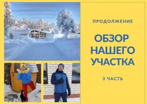 Продолжение. Обзор нашего участка (3 часть)